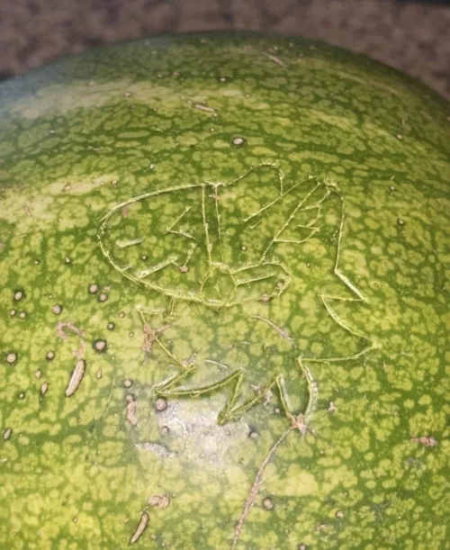 Carved a protogen into a watermelon for some reason