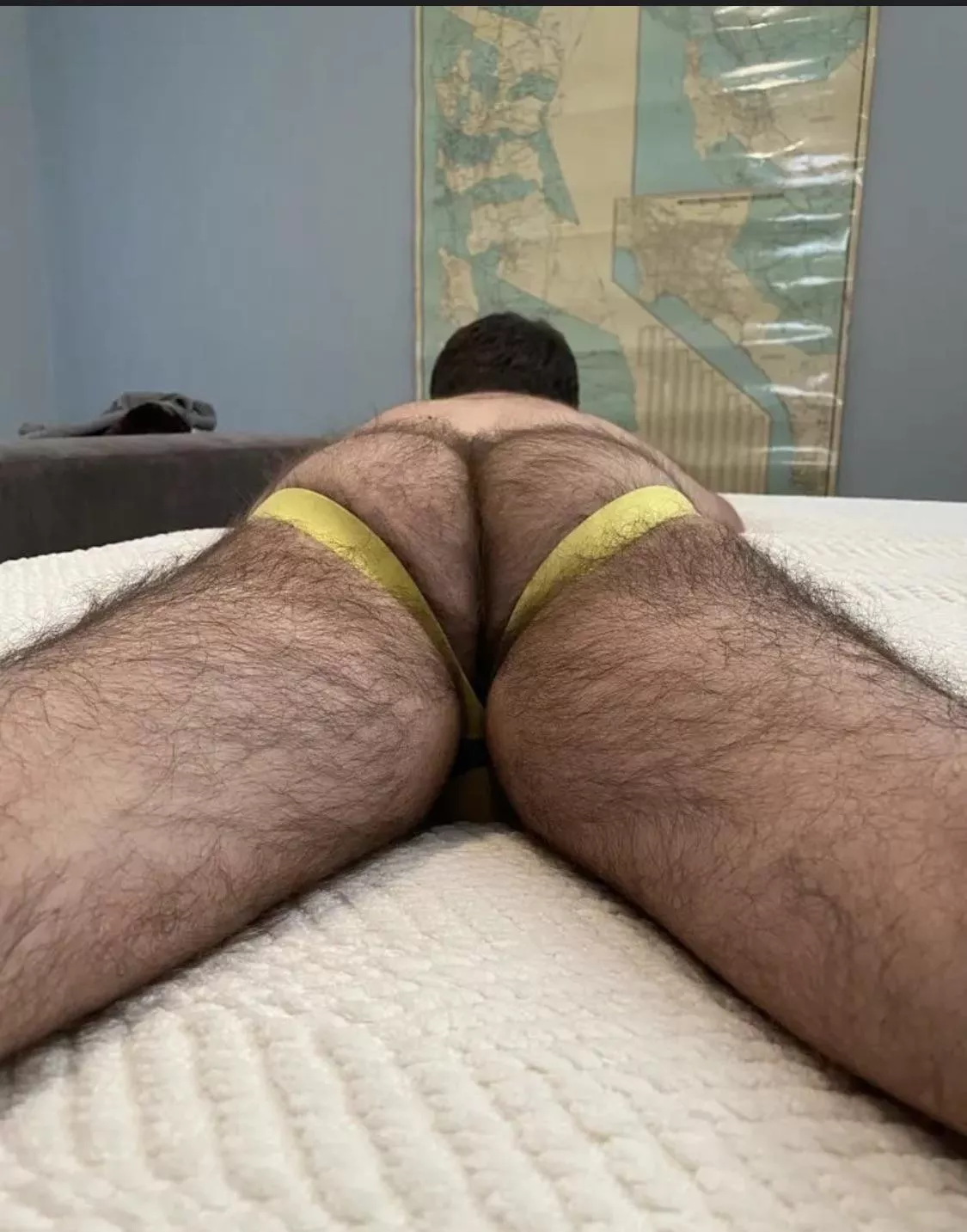 Furry and ready for fun