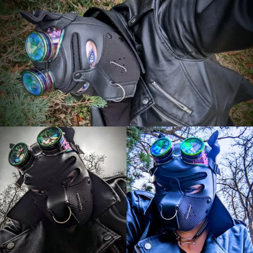 Have a pawsome night my puppers. 🐾