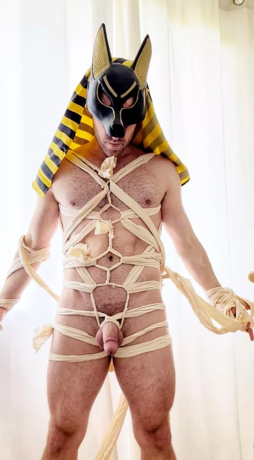 Here the Last of the Anubis collection.