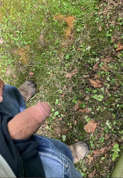 Here’s my donation