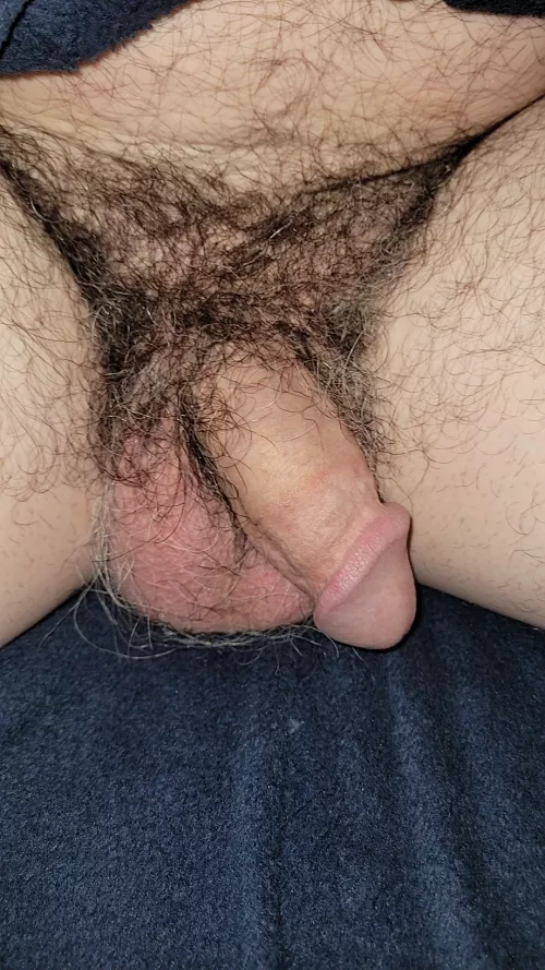 I love having a hairy man bush, but it's also the reason my wife won't suck on my sack. [42]