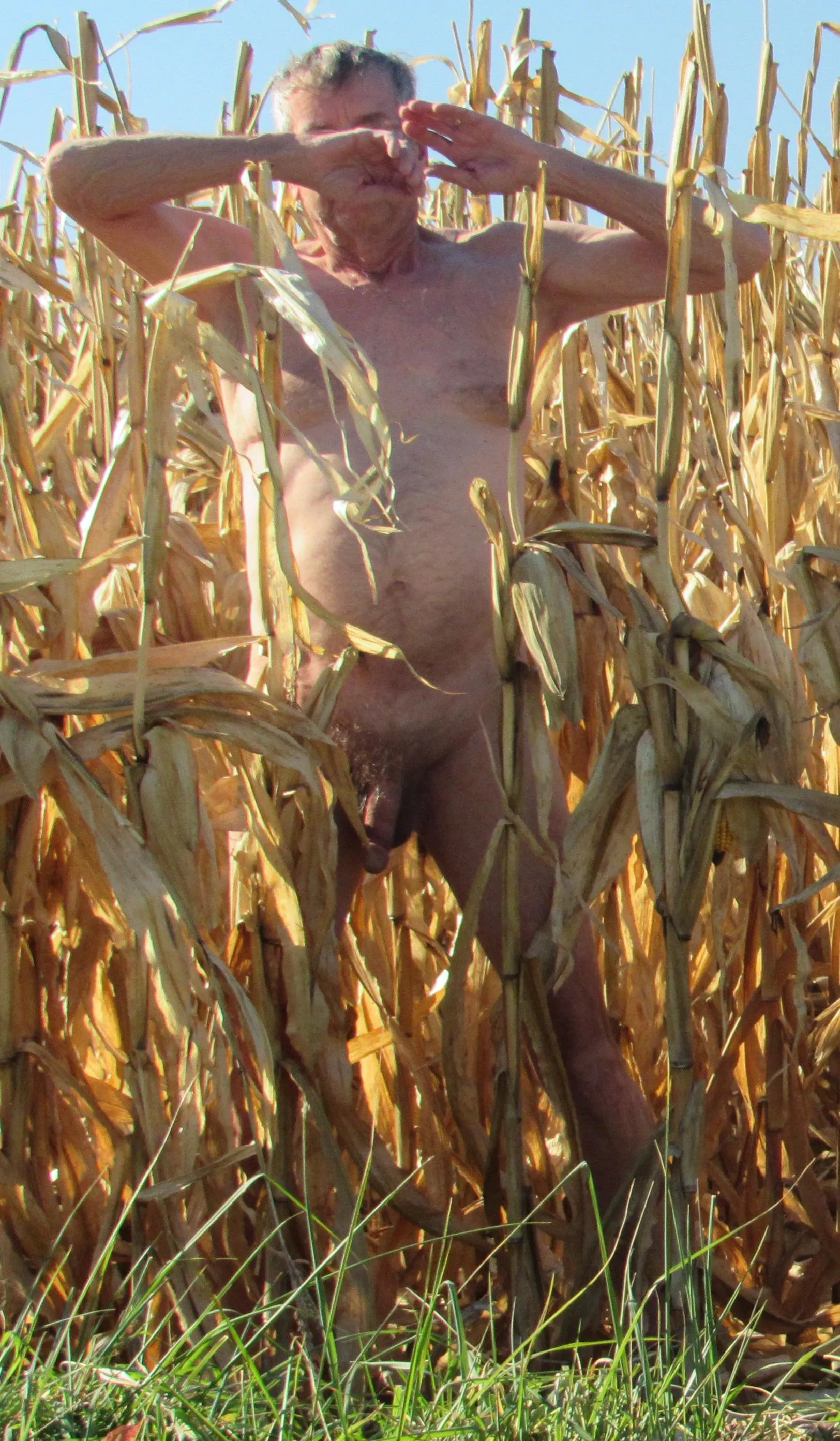 Nov 3, 70°, why not?