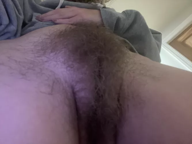 Oops, didn’t see ya there! …hey.. while you’re down there.. mind giving me a hand with something? 🌕 🐺