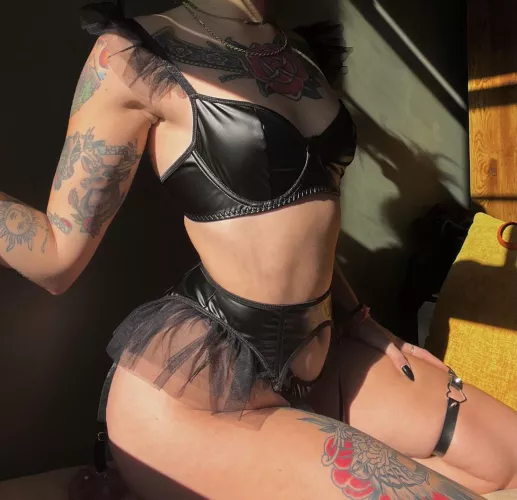 sittin pretty for you 😼