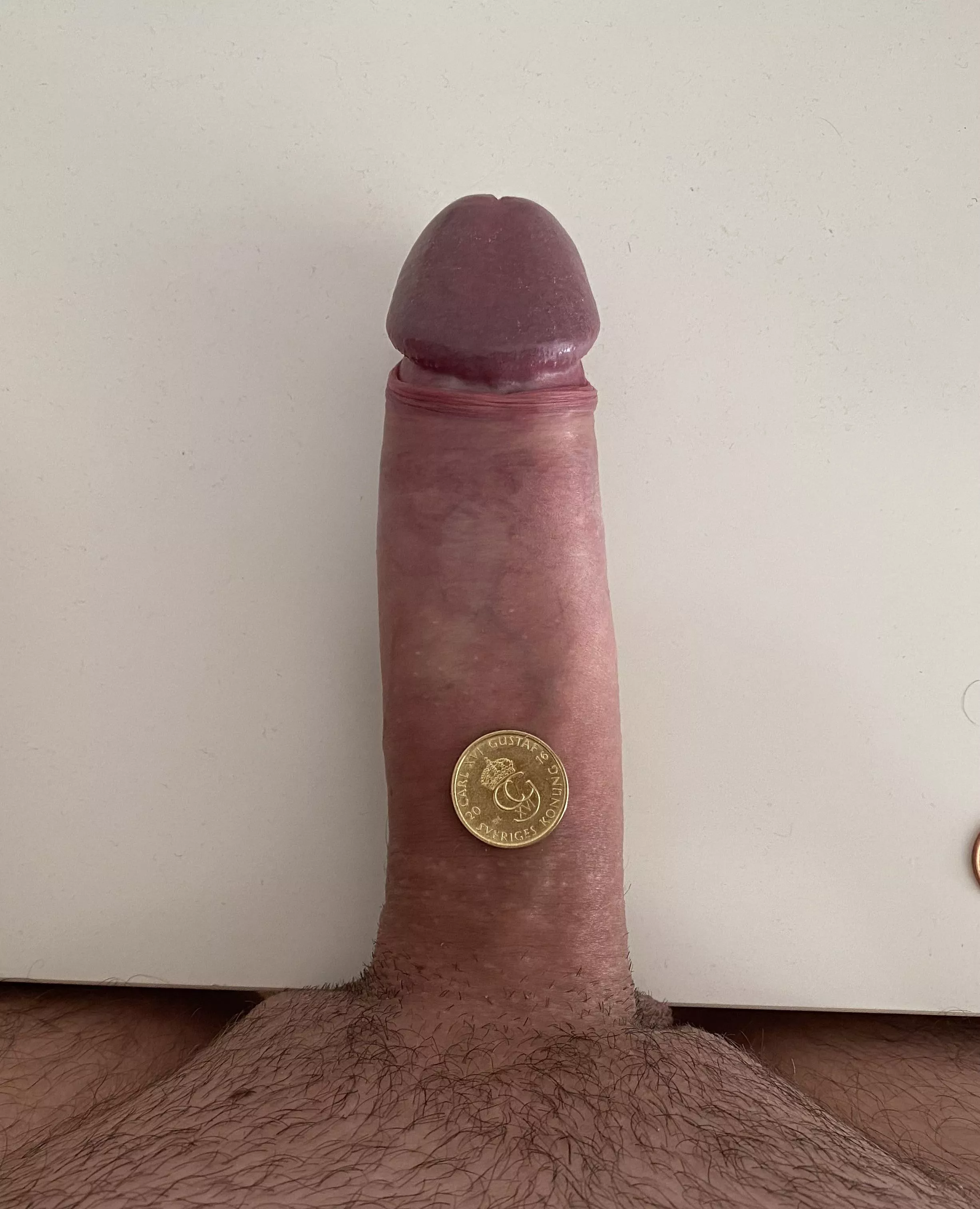 Size of a quarter $$ coin