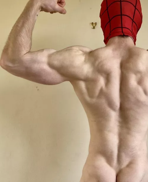 Spidey, with an important public service announcement - no muscle is sexier than a well toned back