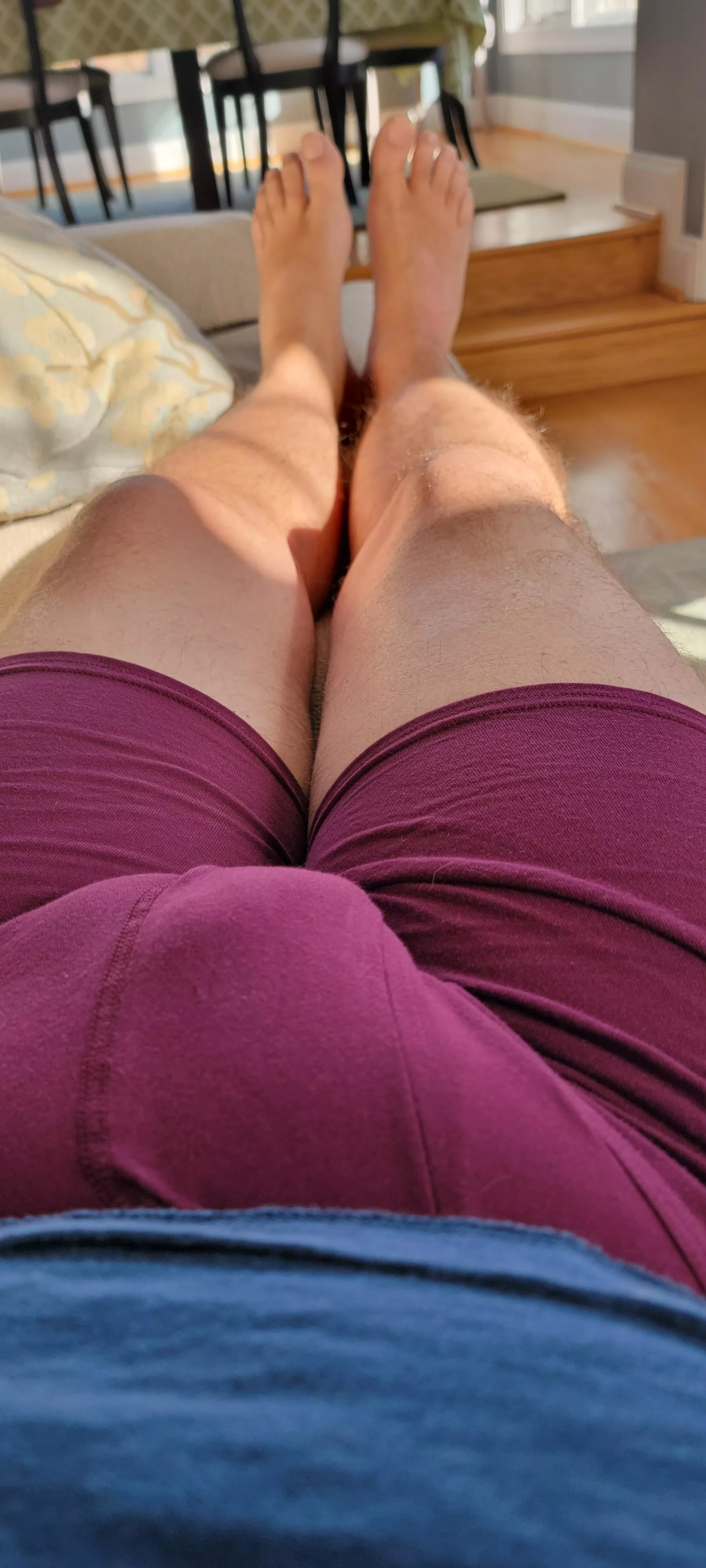 sunny day in the sofa