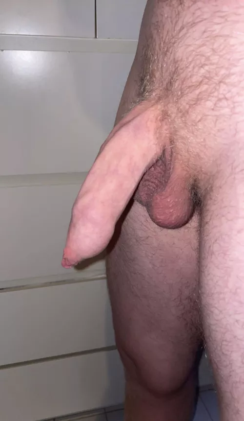 Think you could get me fully erect?