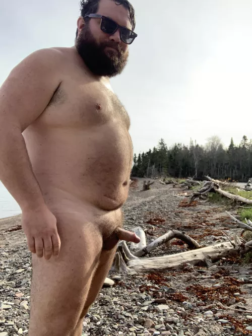 Was a 20° November day so I went for a swim.