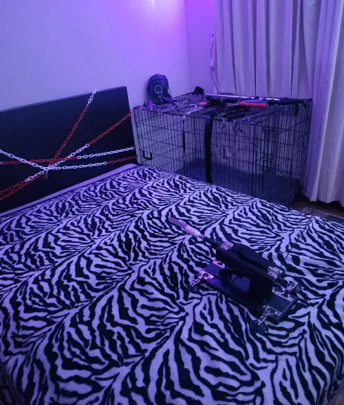 What do you think of my play room?