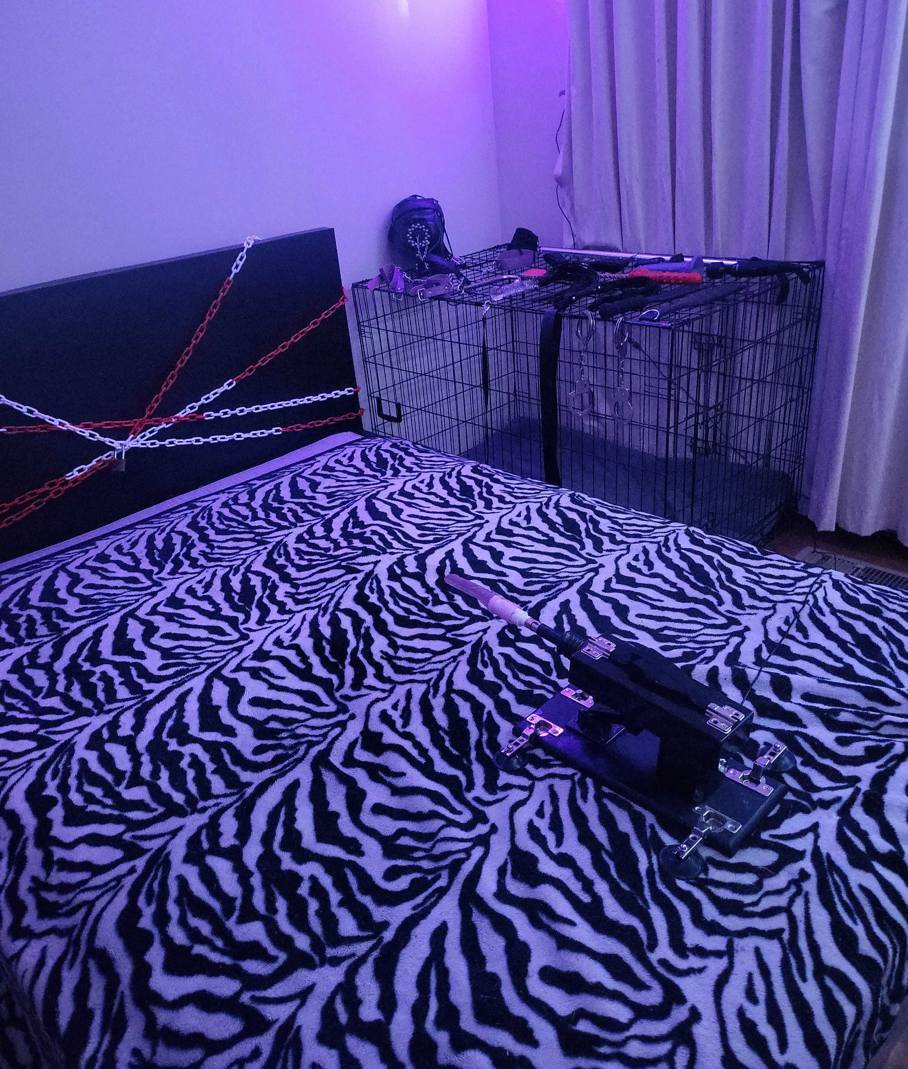 What do you think of my play room?