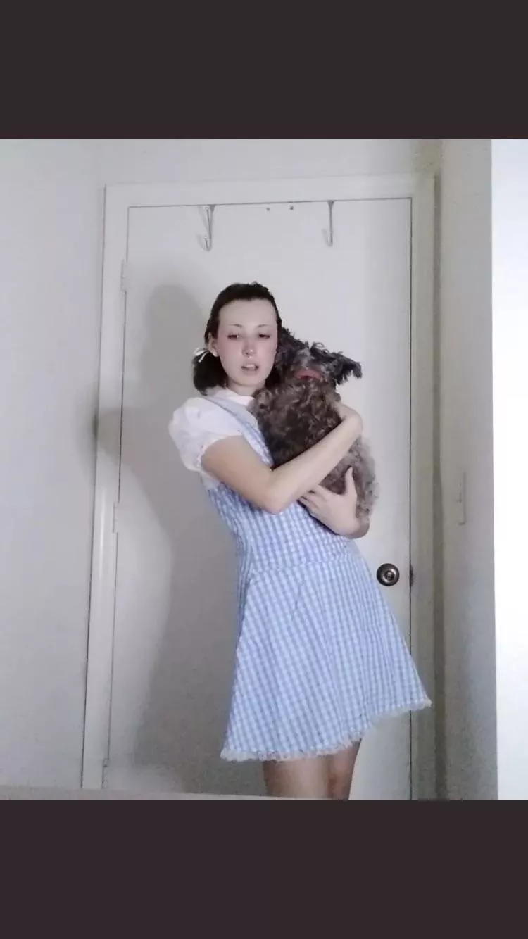 Who knows what my costume is