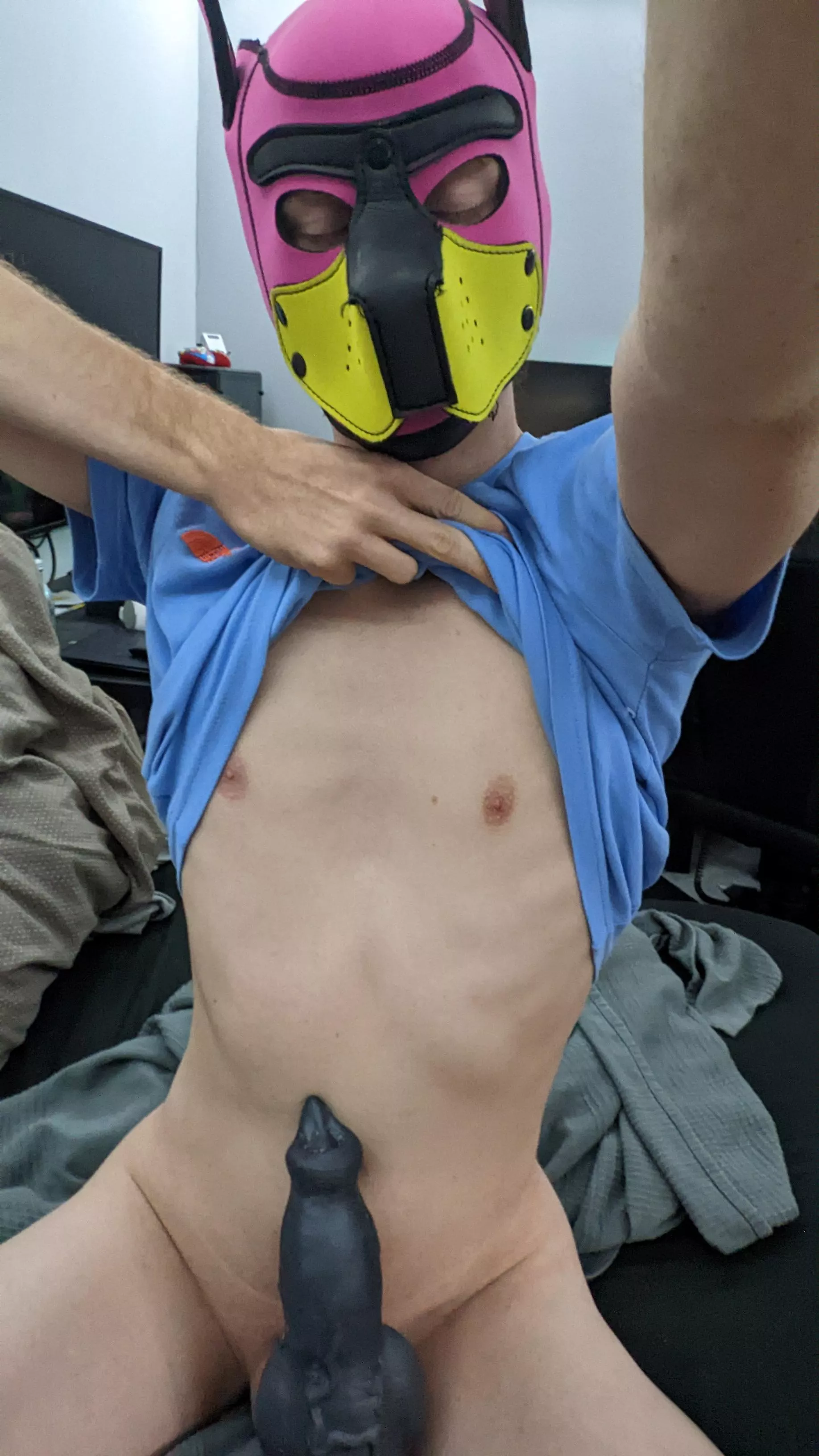 you think a smol pup like me can do it?