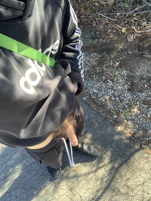 (22) fun on the trail