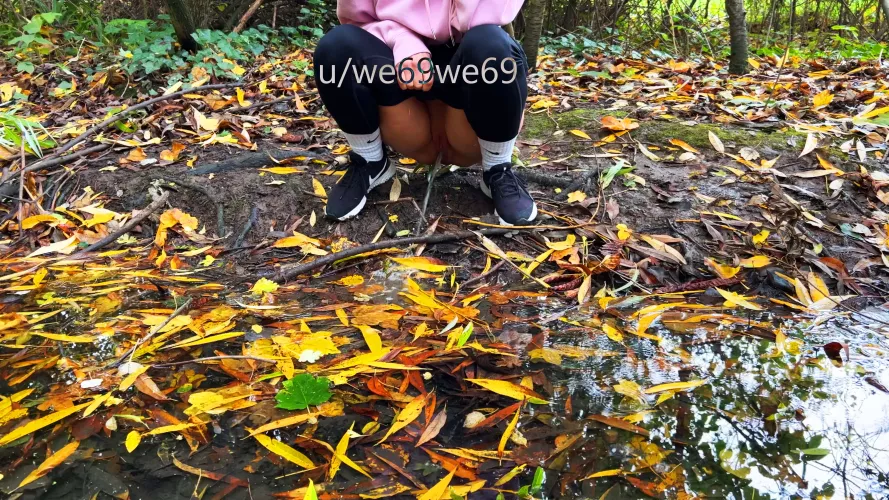 Autumn is here and it's wet everywhere