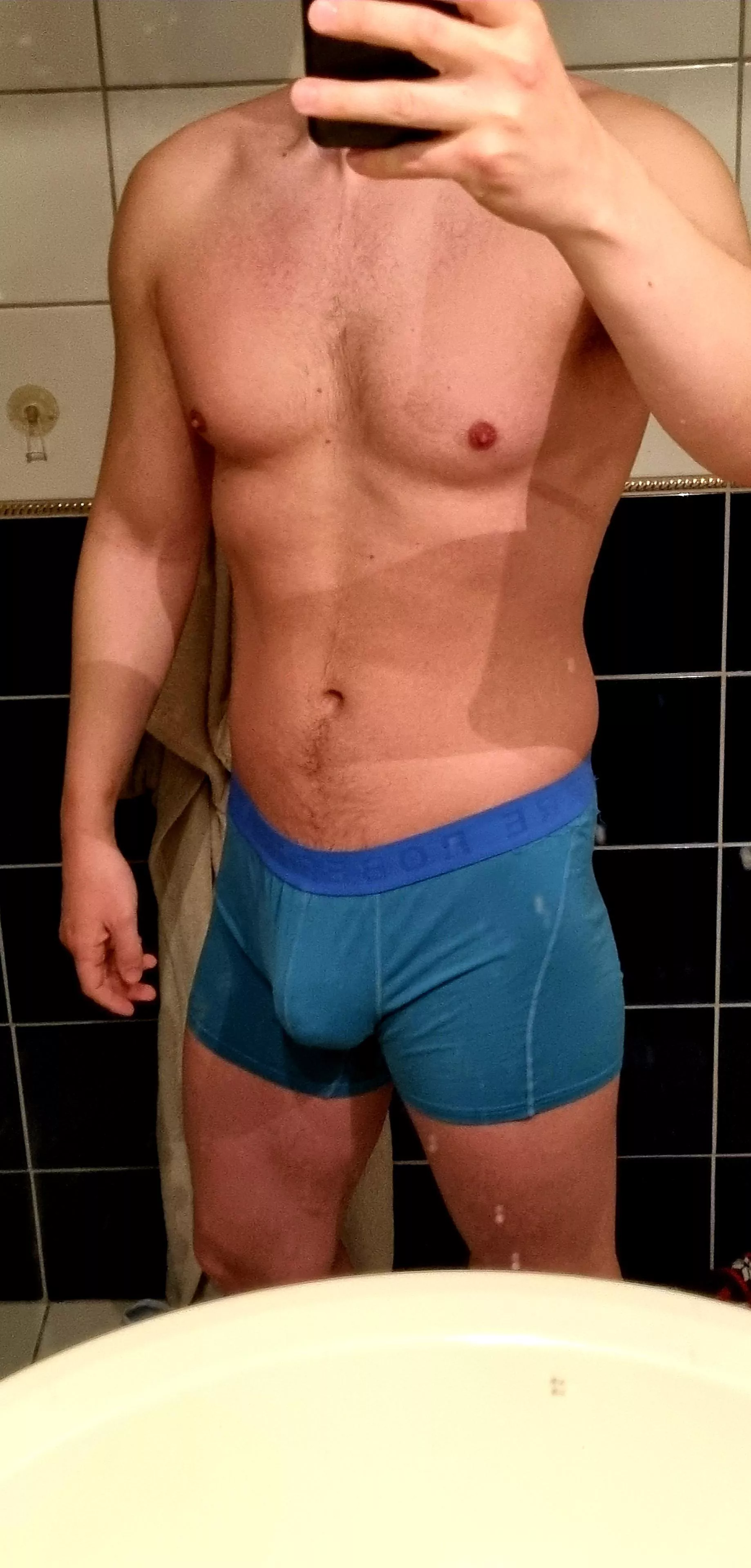 Boxer chill is best chill