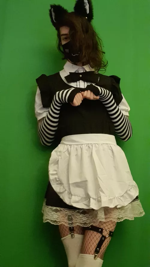 Catboy in his maiddress