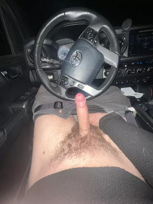 Cocks in cars?