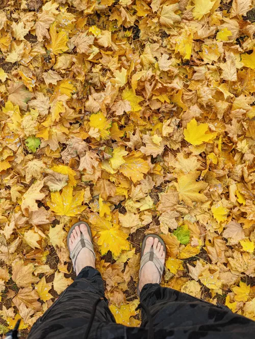 flip flops on a hot fall day