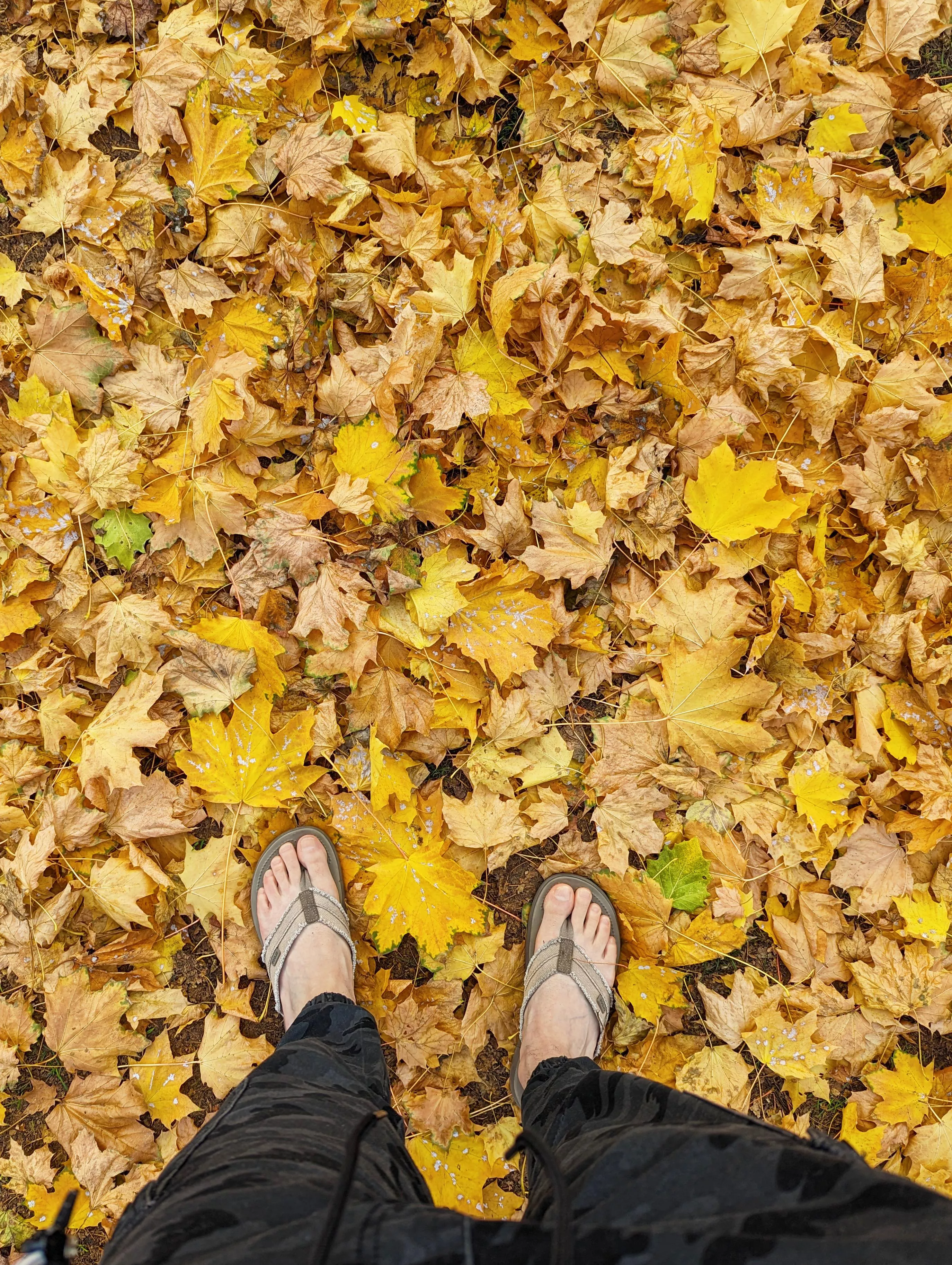 flip flops on a hot fall day