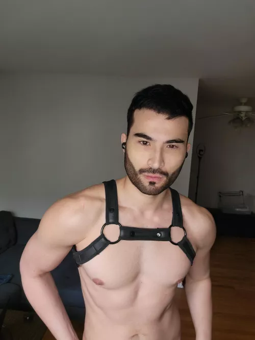 For lovers of chests and facial hair