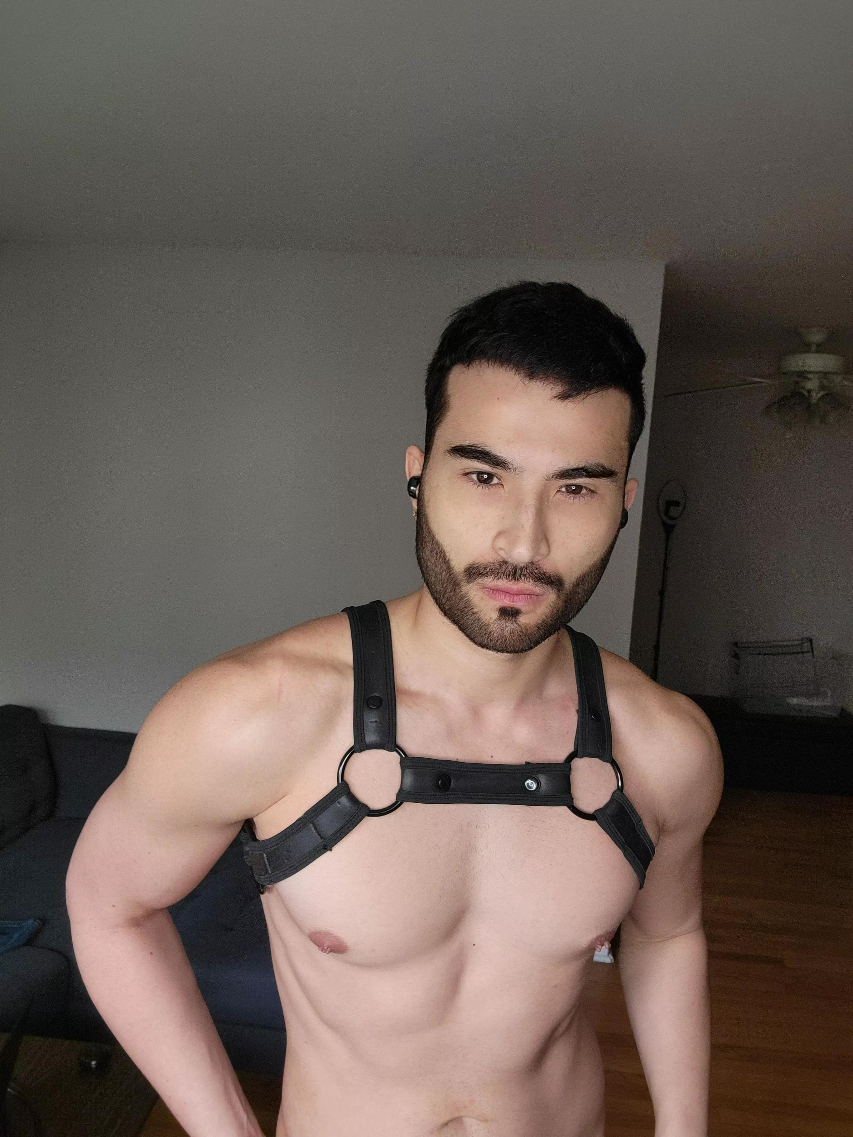 For lovers of chests and facial hair