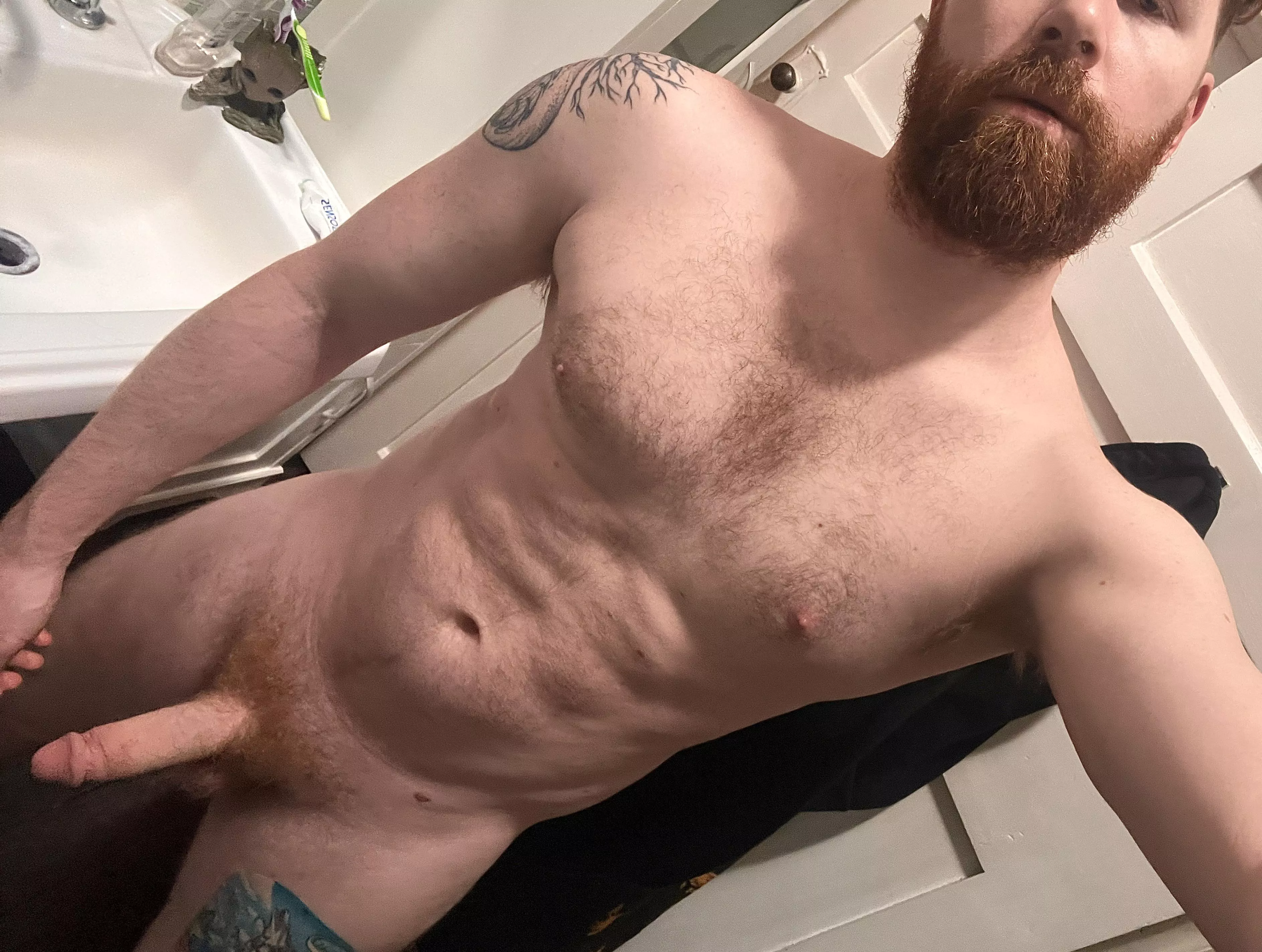 Fuzzy cushions are made to be sat on