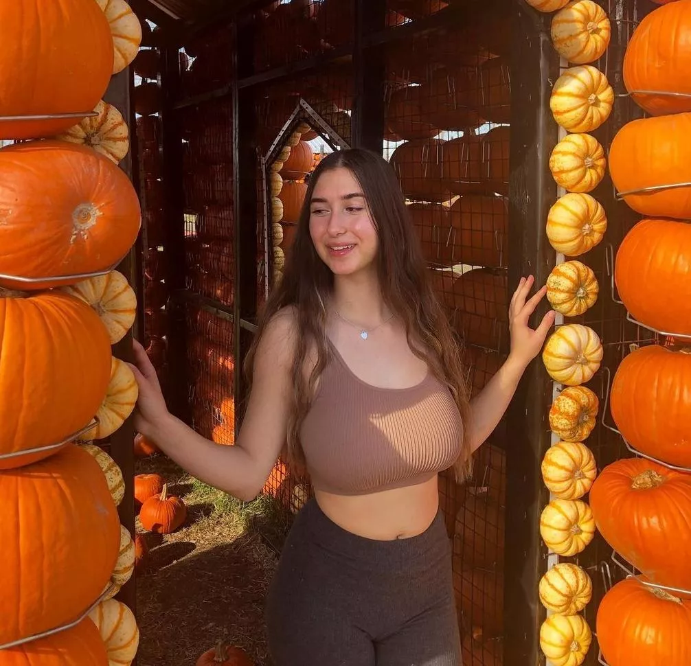 hiding pumpkins