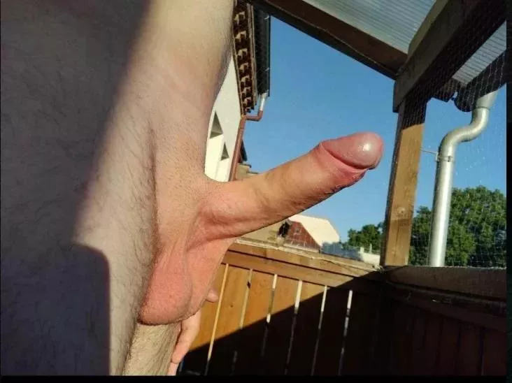 i never actually get rates but maybe this time :)