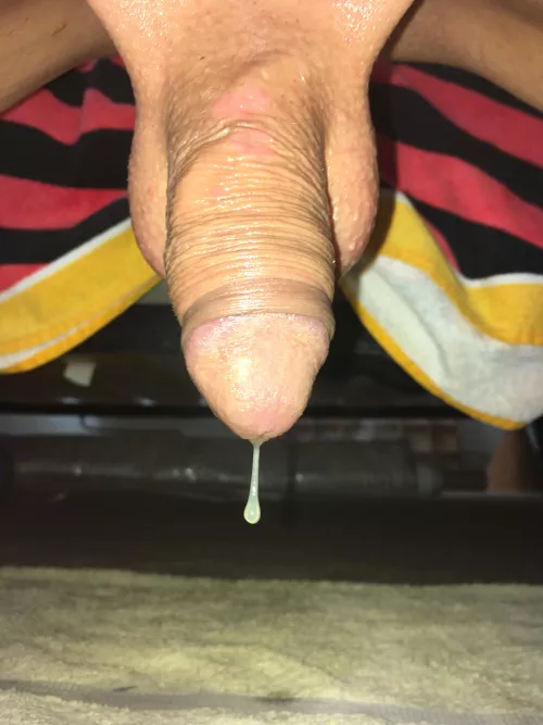 My dripping clitty