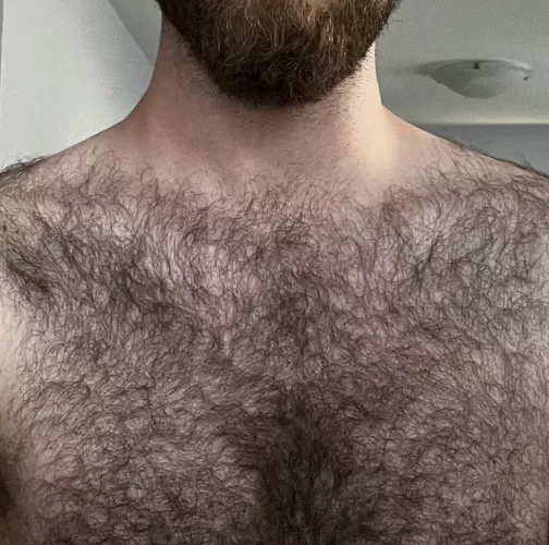 Nature’s t-shirt 🦦