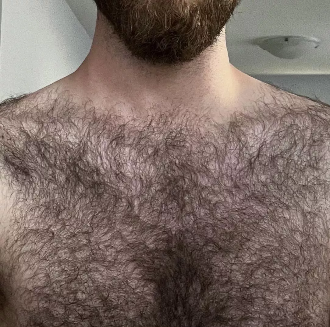 Nature’s t-shirt 🦦