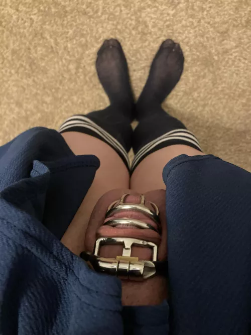 New cage fits so much better than last. No free space left for my clitty