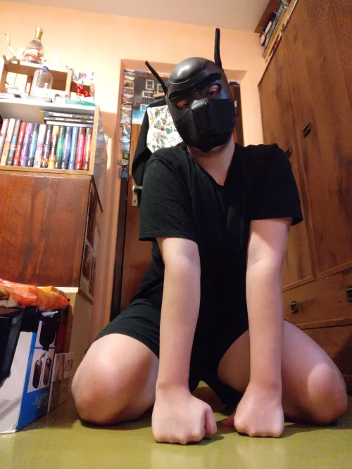 New pup here☺️🐾🐶