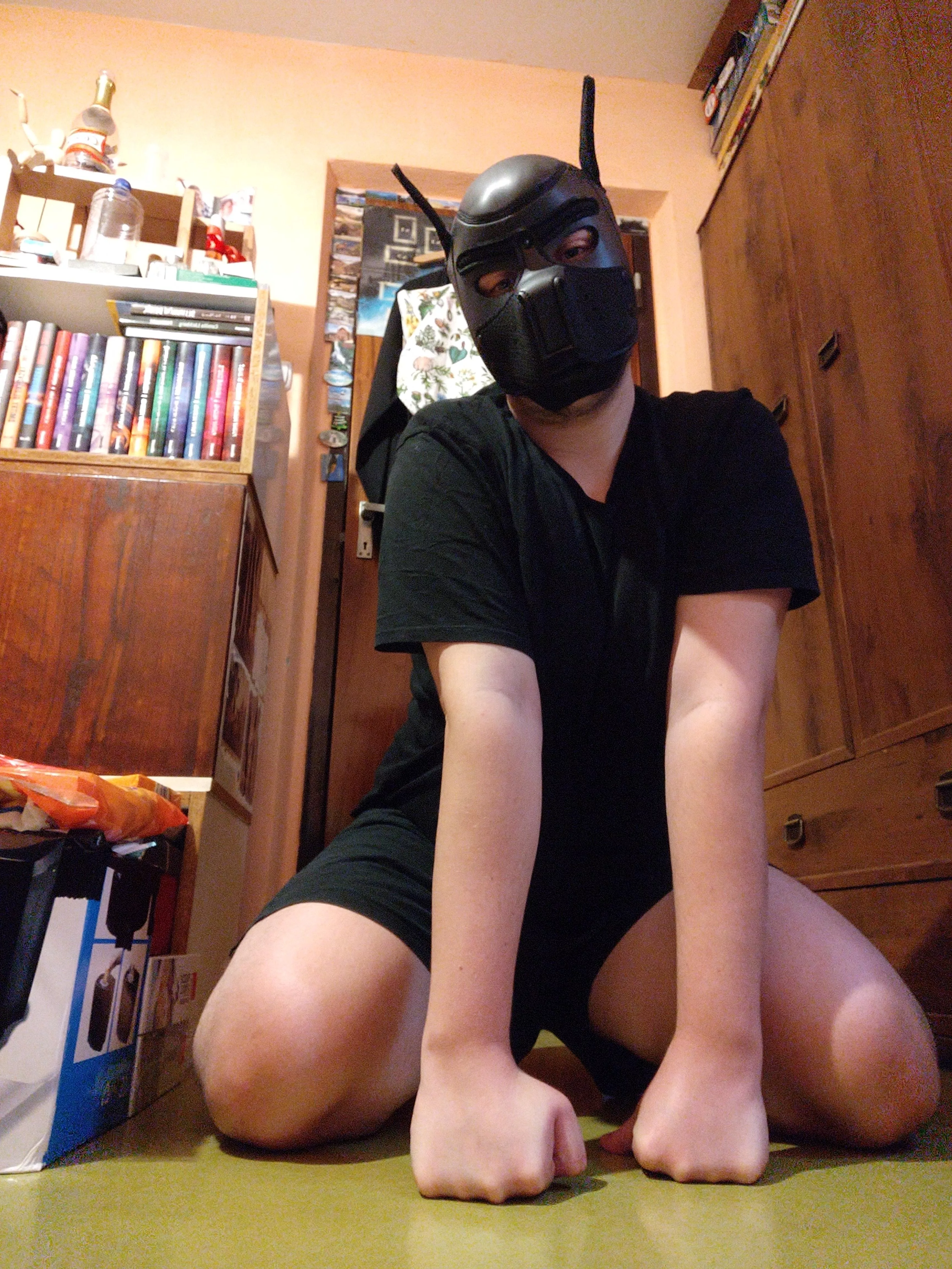 New pup here☺️🐾🐶