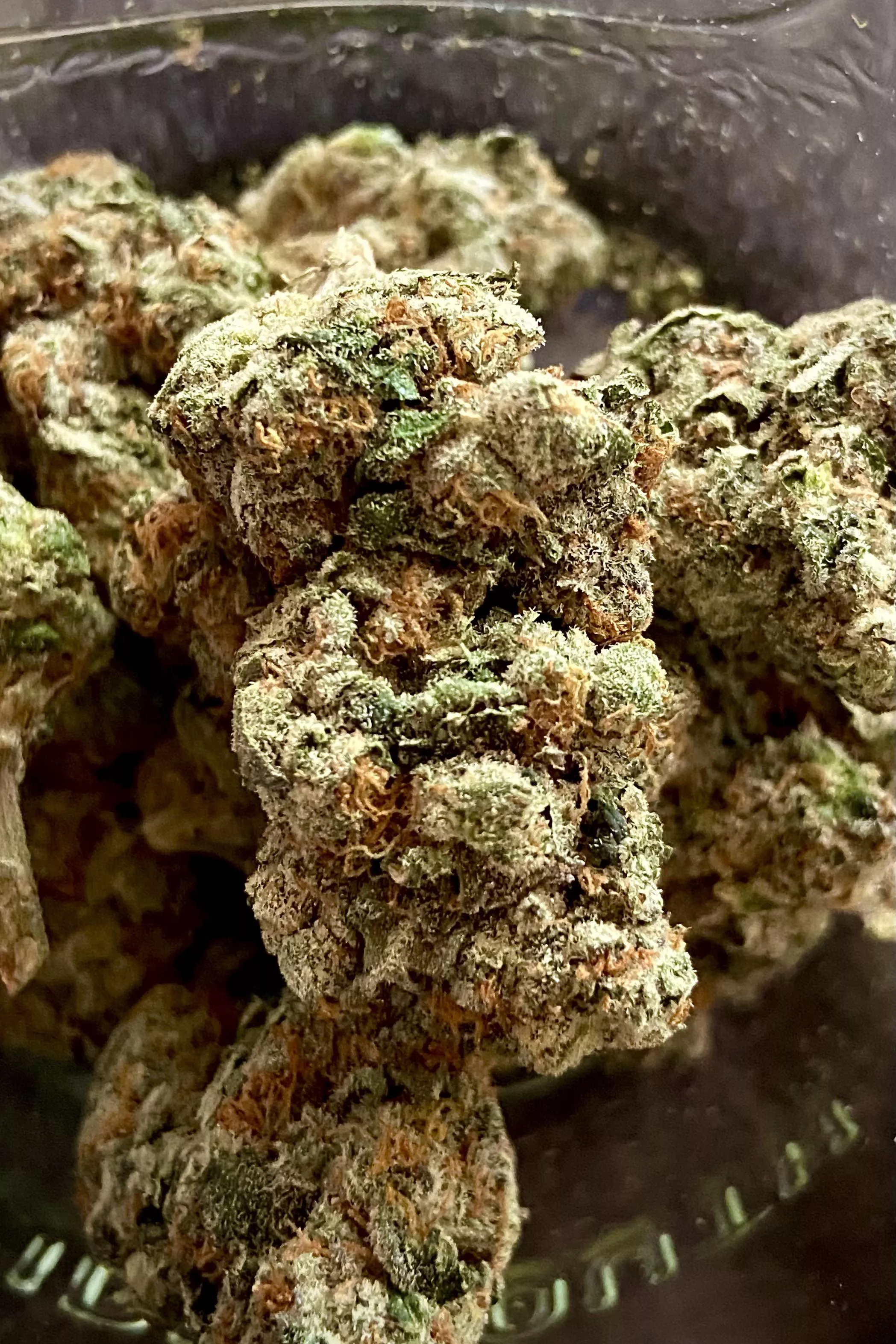 Playing with this bud I picked up 🤤