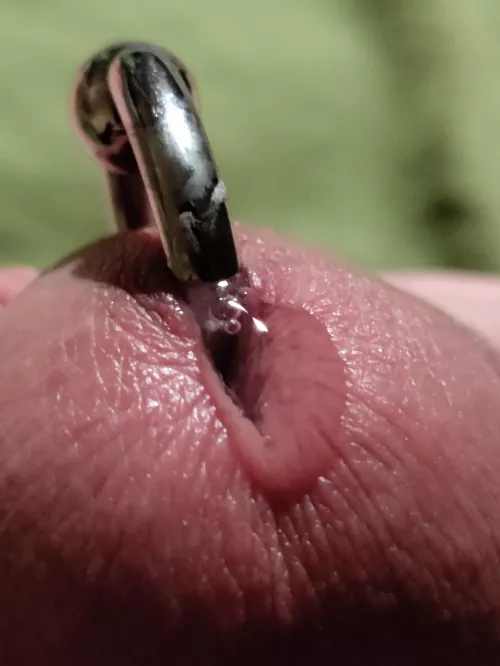 sweet nectar closeup