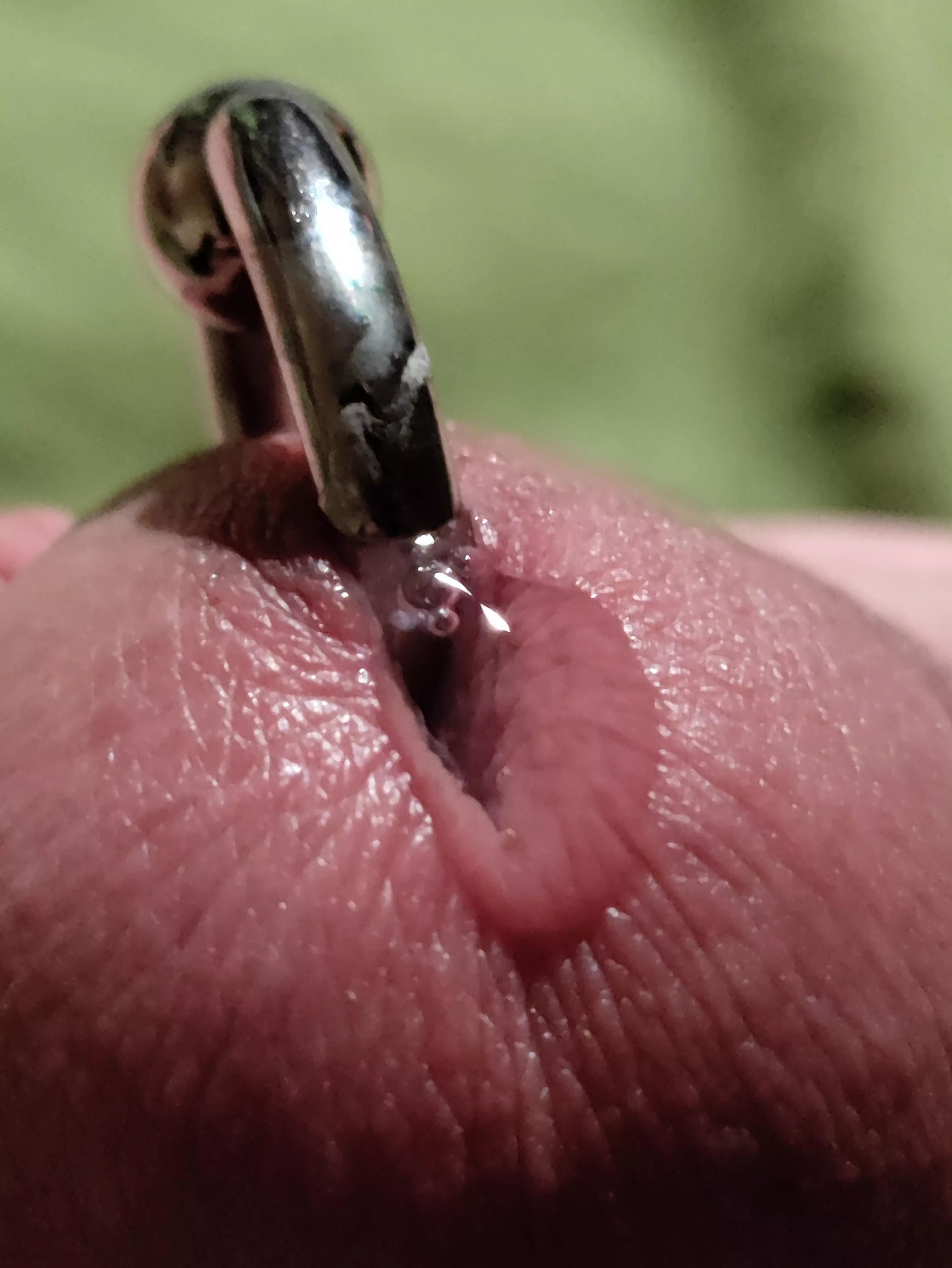 sweet nectar closeup