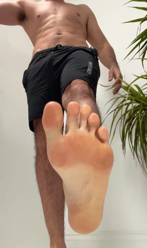 This is the best place for you.