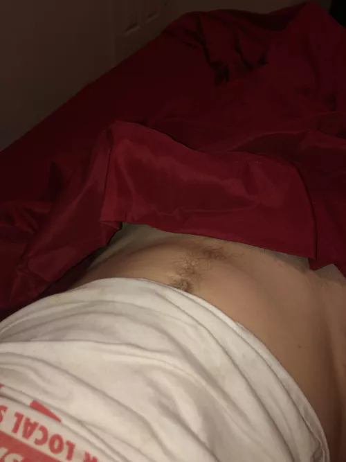 Trying to erect a tent this morning