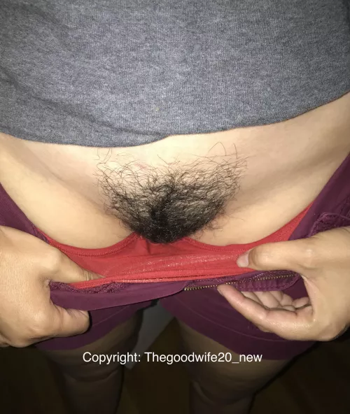 Winter fluff is coming back