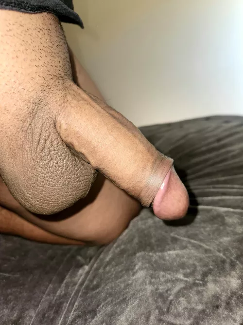 27 M St. Louis, MO - Looking for a local hotwife.