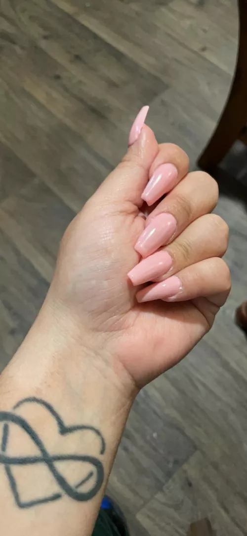 Could i interest you in head scratches?