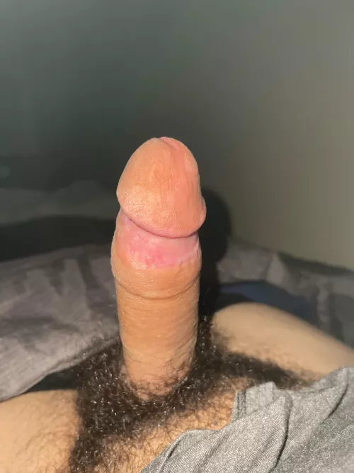 Dms are open help me cum