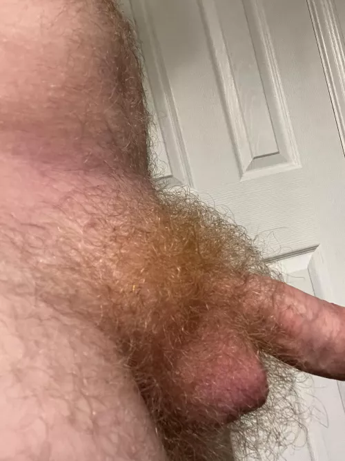 Fluffy after a shower