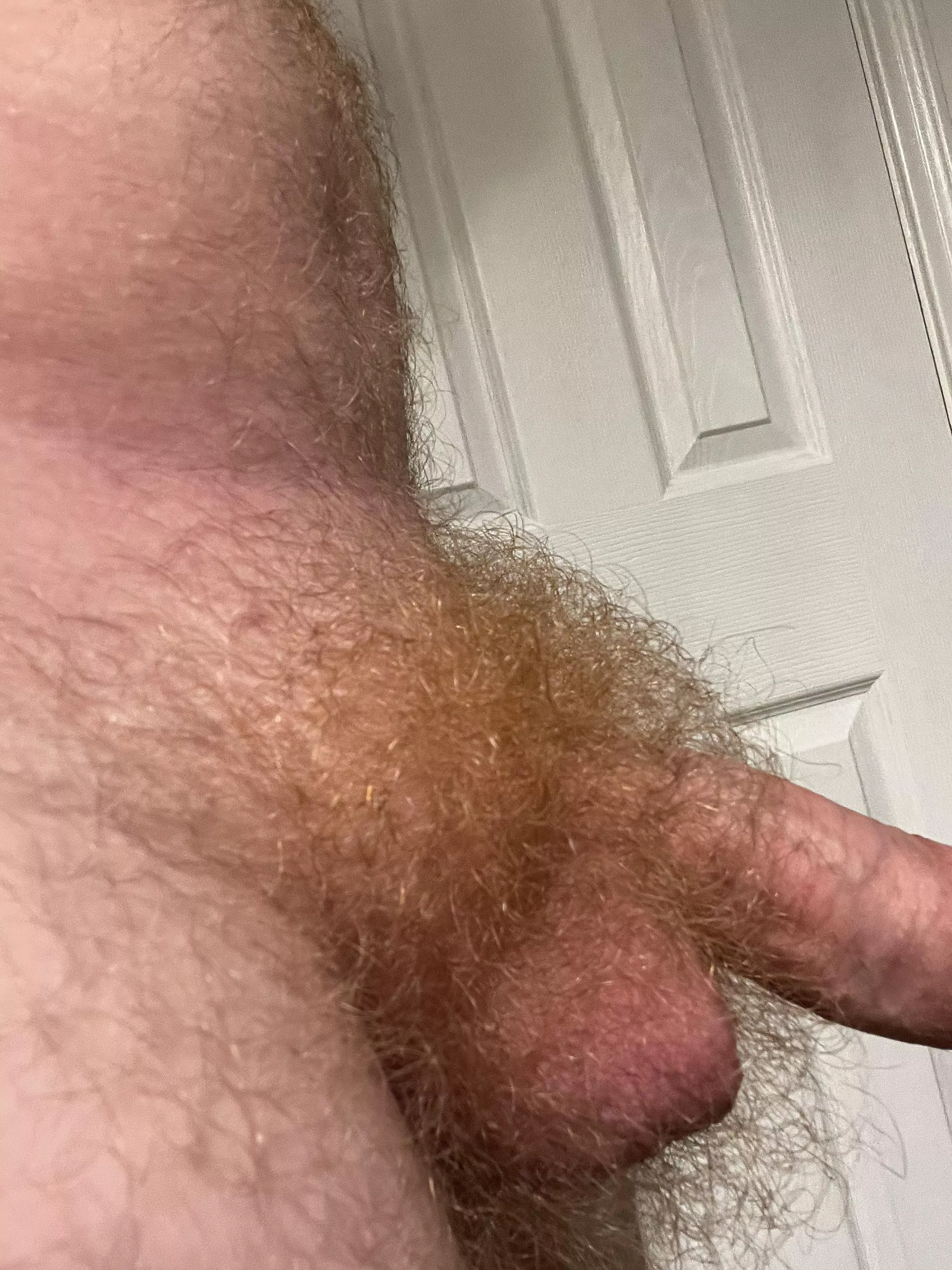 Fluffy after a shower