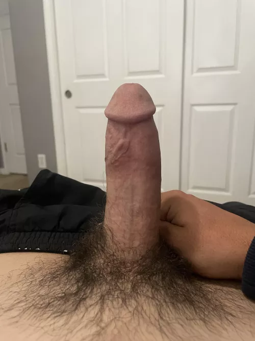 For the 2 people who are going to see this