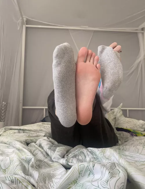 Grey socks 😍