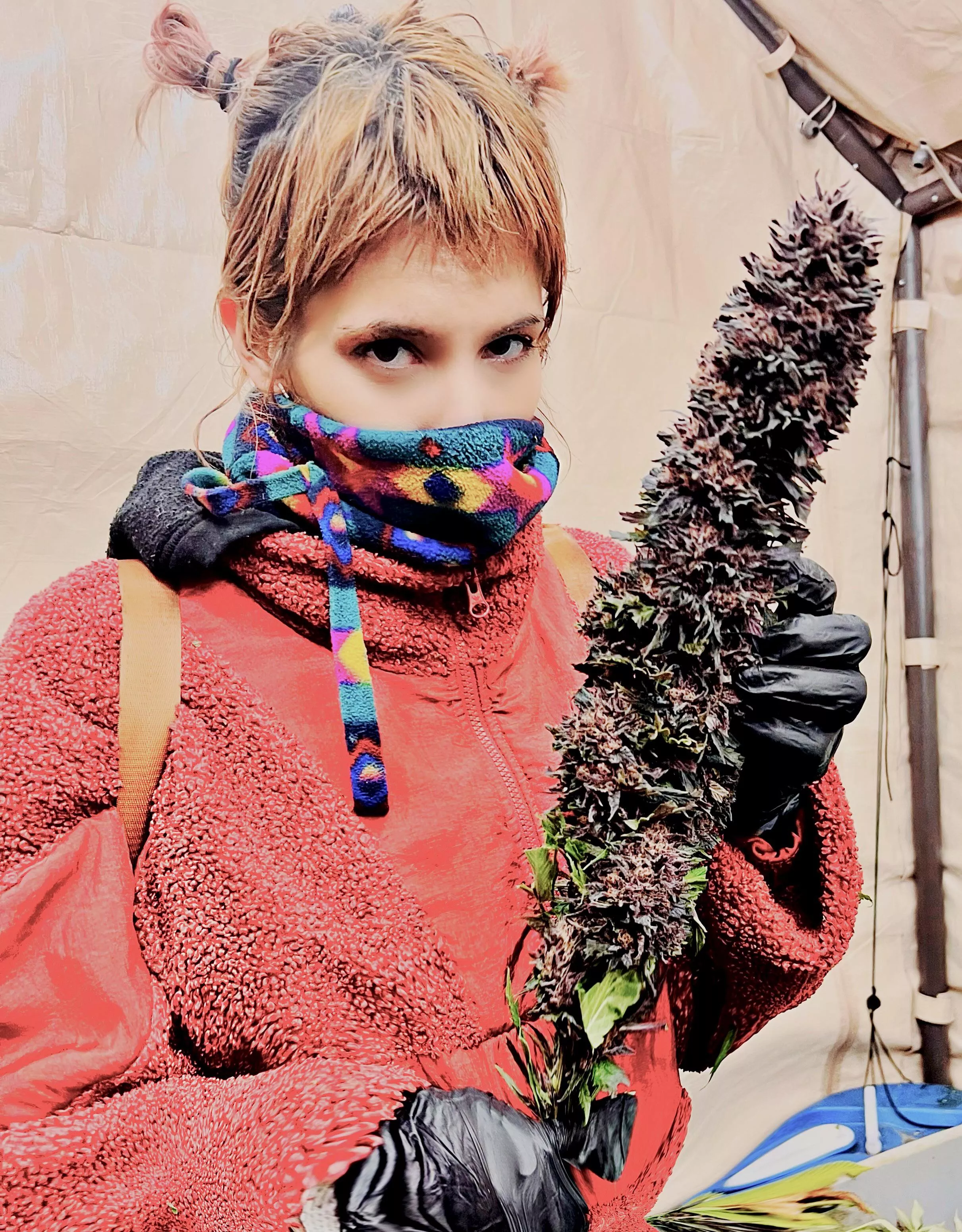 I have been drooling over this big fat juicy nug!